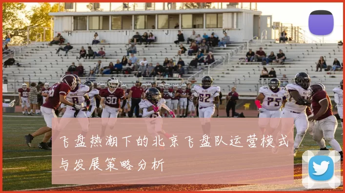 飞盘热潮下的北京飞盘队运营模式与发展策略分析