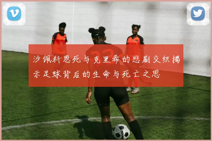 沙佩科恩死与克里希的悲剧交织揭示足球背后的生命与死亡之思