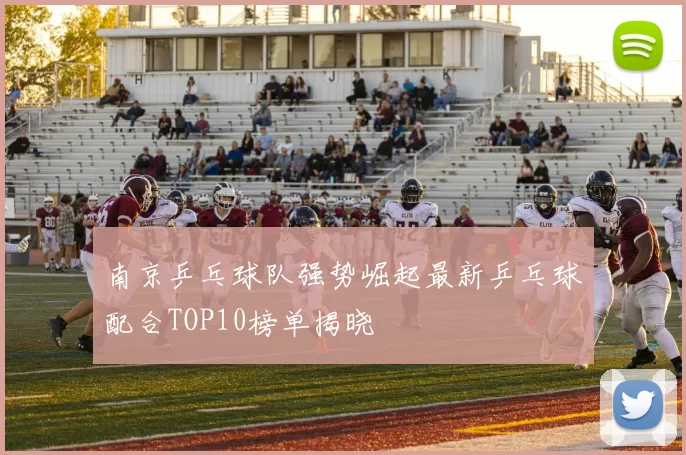 南京乒乓球队强势崛起最新乒乓球配合TOP10榜单揭晓