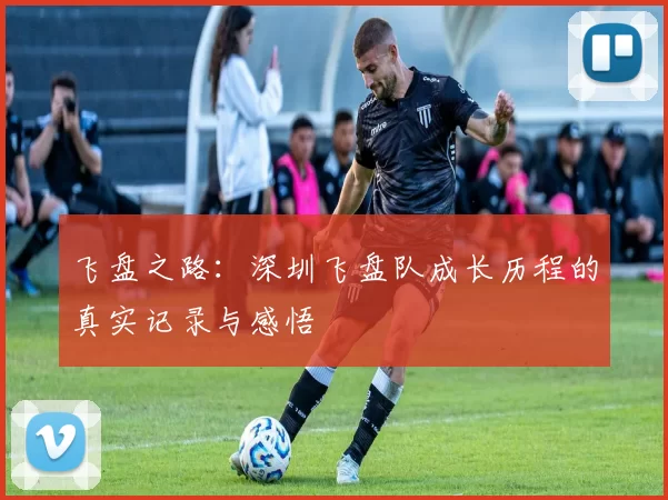 飞盘之路：深圳飞盘队成长历程的真实记录与感悟