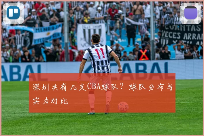 深圳共有几支CBA球队？球队分布与实力对比