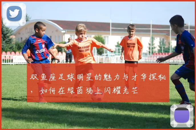 双鱼座足球明星的魅力与才华探秘，如何在绿茵场上闪耀光芒